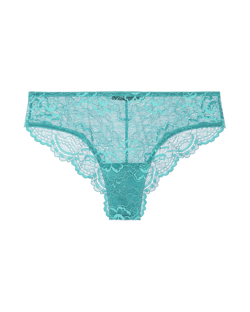 All Lace Brief